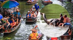 Damnoen Saduak Floating Market and Riverkwai Elephant Bathing Tour