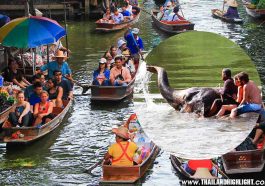 Damnoen Saduak Floating Market and Riverkwai Elephant Bathing Tour