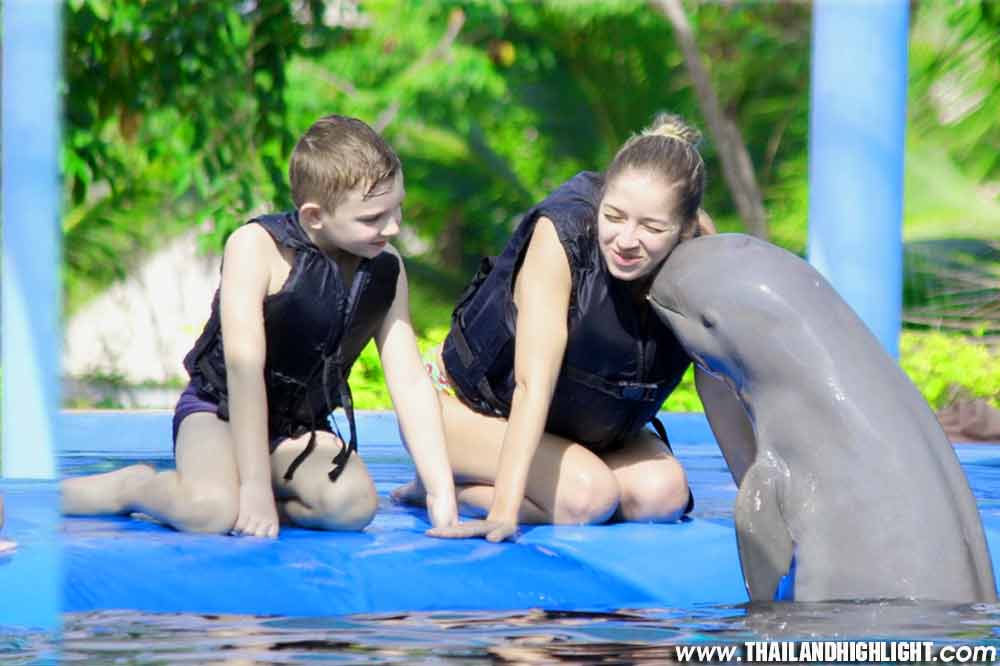 Dolphin World Pattaya Tour Booking Ticket Price Discount Promotion