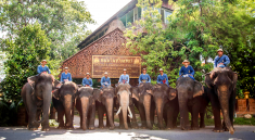 Elephant Village Tour Pattaya