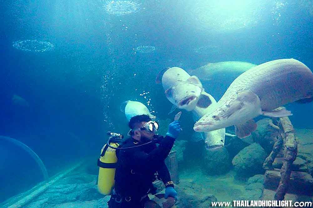 Underwater World Pattaya Tour