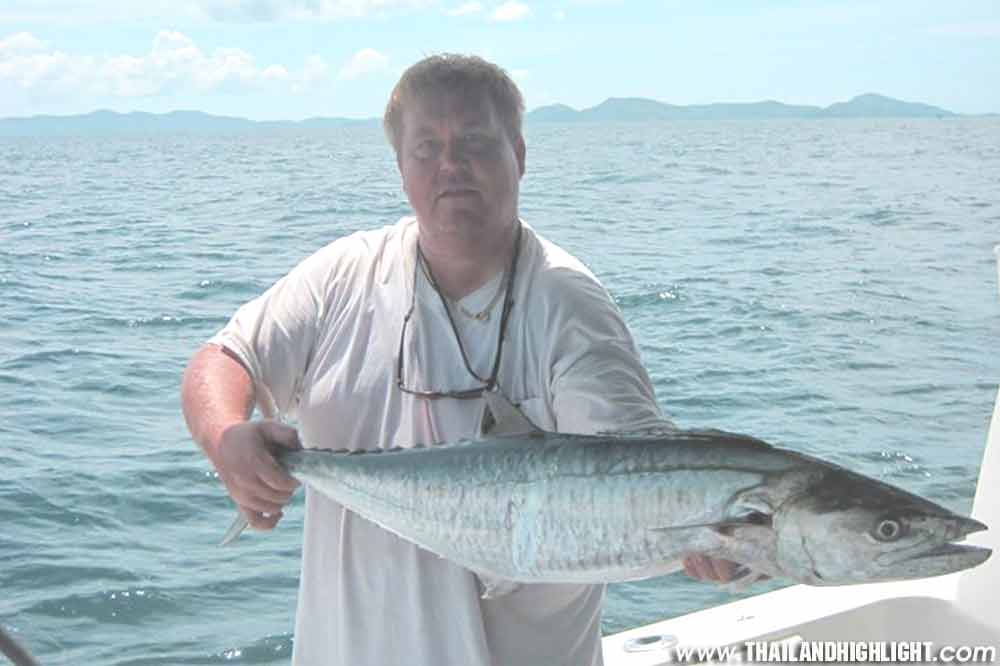 Charter private boat Pattaya, experience famouse Pattaya fishing tour with deep sea fishing Pattaya full day trip inlcuding as rods,reel,gaits,fishing guide