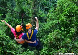 Zipline Pattaya Booking Discount Price,reviews to Best Adventure Trip with Flight of the Gibbon Pattaya Tour.inside Khao Kheow open Safari Park with lunch