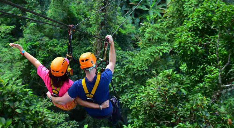 Zipline Pattaya Booking Discount Price,reviews to Best Adventure Trip with Flight of the Gibbon Pattaya Tour.inside Khao Kheow open Safari Park with lunch