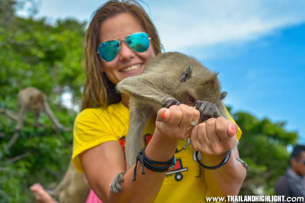 Best island trip Pattaya 3 Islands Serenity Yachting, leave from Ocean Marina Yacht Club for fishing,snorkeling, feeding monkeys,tour booking discount price