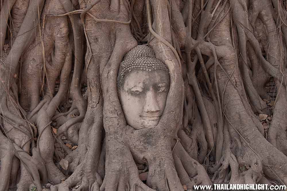 Ayutthaya tour from Bangkok Visit Ayutthaya Tour 's Attractions Head Buddha Image in Banyan Tree Roots at Wat Phra Mahathat Bangkok full day trip Damnoen saduak floating market Ayutthaya tour visit ancient palace head Buddha image in banyan tree temple Ayutthaya
Thailand ayutthaya tour
ayutthaya tourism and sports
ayutthaya tourist attractions
ayutthaya tourist map
ayutthaya tour from bangkok
ayutthaya tour package
