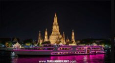 Luxury Dinner Cruise Bangkok New Year’s Eve Wonderful Pearl Cruise. Luxury Dinner Cruise Bangkok New Year’s Eve Wonderful Pearl Cruise, Luxury Dinner Cruise Bangkok New Year’s Eve, Wonderful Pearl Cruise, Chao Phraya Cruise New Year's Eve, New Year’s Eve gala dinner, Wonderful Pearl Cruise New Year, Bangkok countdown cruise, Luxury cruise Bangkok, Best New Year's Eve cruise Bangkok, Bangkok fireworks cruise, New Year’s Eve celebration in Bangkok, Bangkok river cruise booking, New Year’s Eve ticket, Wonderful Pearl Cruise booking, Bangkok dinner cruise, Luxury New Year cruise Bangkok 2026, Celebrate New Year on Chao Phraya River, Bangkok party cruise, New Year’s Eve boat party, New Year’s Eve 2026 Bangkok, Wonderful Pearl Cruise reviews, Luxury New Year Cruise, Bangkok NYE 2026, New Year's Eve dinner and fireworks, River City Bangkok cruise, Book New Year’s Eve cruise, New Year’s Eve events Bangkok, Wonderful Pearl Cruise package, New Year 2026 cruise, Chao Phraya River Party
